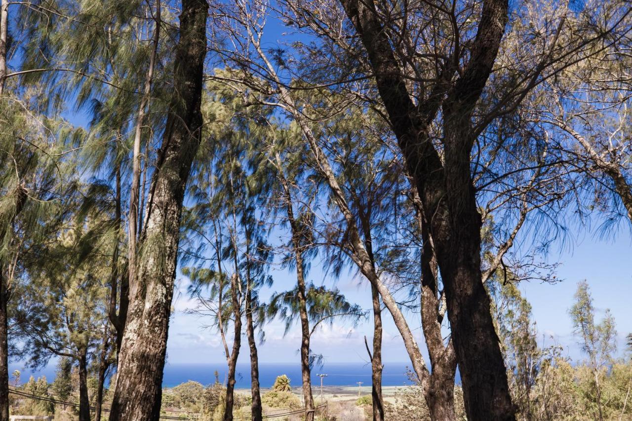 Lumeria Maui, Educational Retreat Center Makawao Bagian luar foto